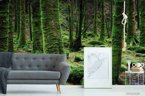 Sommer wald tapete - 3d,