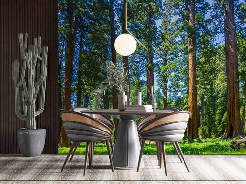 Sommer sonnig wald tapete - 3d,