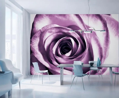 Nice wall rosen - nice,