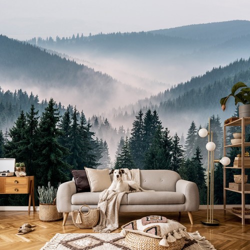 Wald nebel berge nature - im,