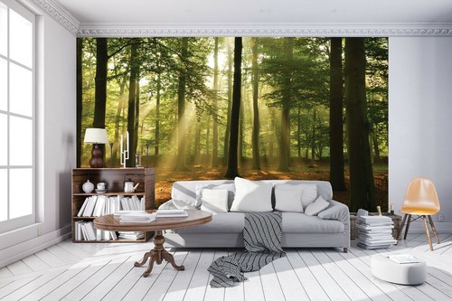 Natur tapete wandbild - natur,