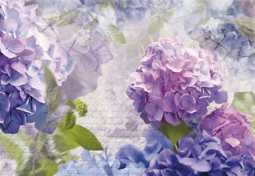 Komar fototapete florales - komar,