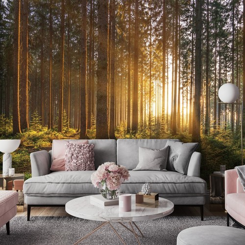 Fototapete wald sonnenwald - fototapete, 3d