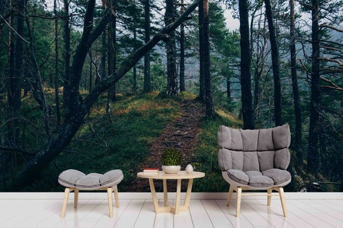 Tiefer wald tapete - wald,