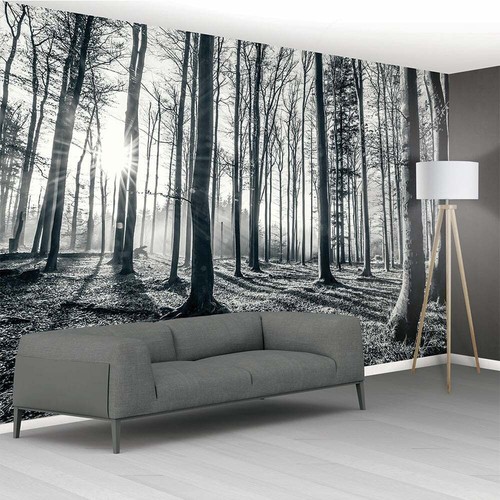 1wall fototapete wald schwarz - fototapete,
