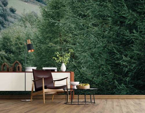 Wald landschaft tapete - 3d,