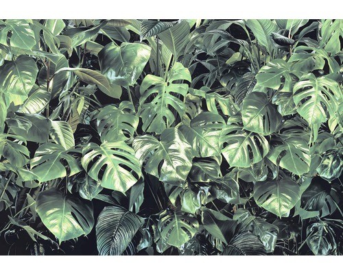 Fototapete papier 333 - papier, 8-333