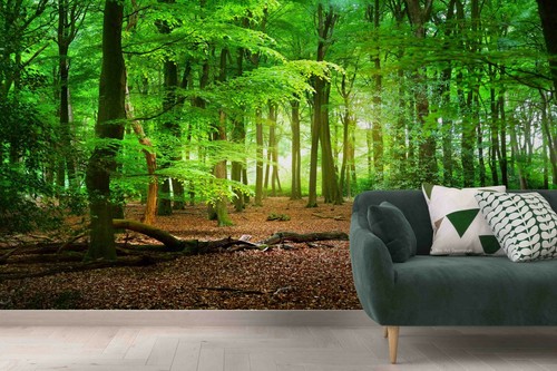 Sommer sonnig wald tapete - 3d,