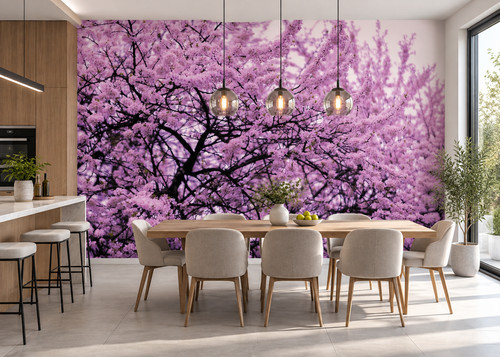 Nice wall blumen foto - nice,