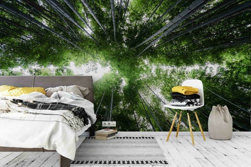 Wald überblick tapete - 3d,