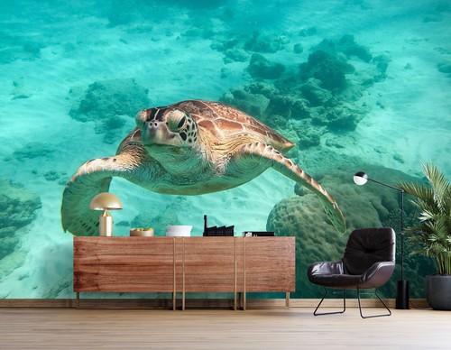 Meer schildkröte q4886 - meer,