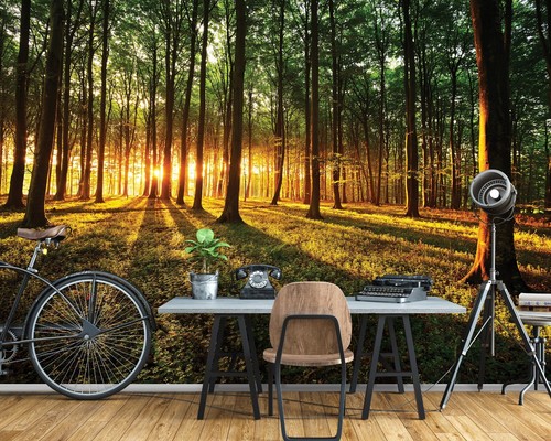 Tapete wandbild 366 254 cm - tapete,