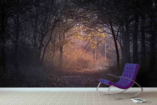 Dunkler wald tapete - dunkler,