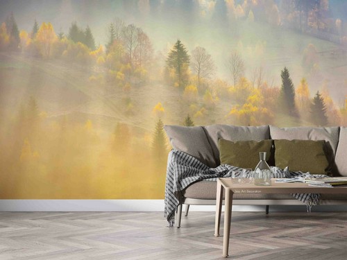 Wald berg landschaft - wald,
