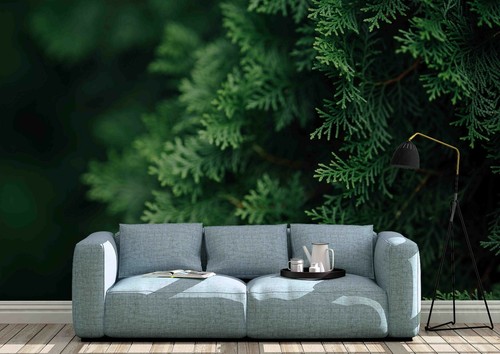 Sommer wald tapete - sommer,