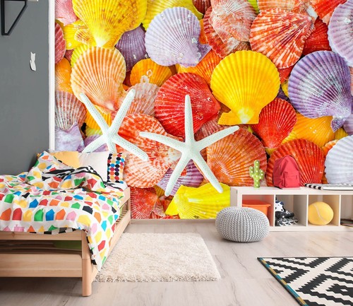 Bunte muscheln m5177 - bunte,