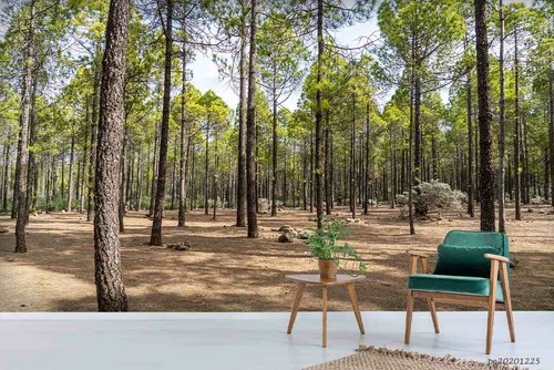 Wald natur landschaft - 3d,