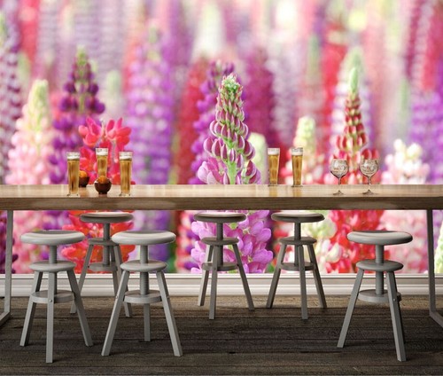 Bunt lavendel q969 tapete - q969,